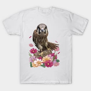 hawk T-Shirt